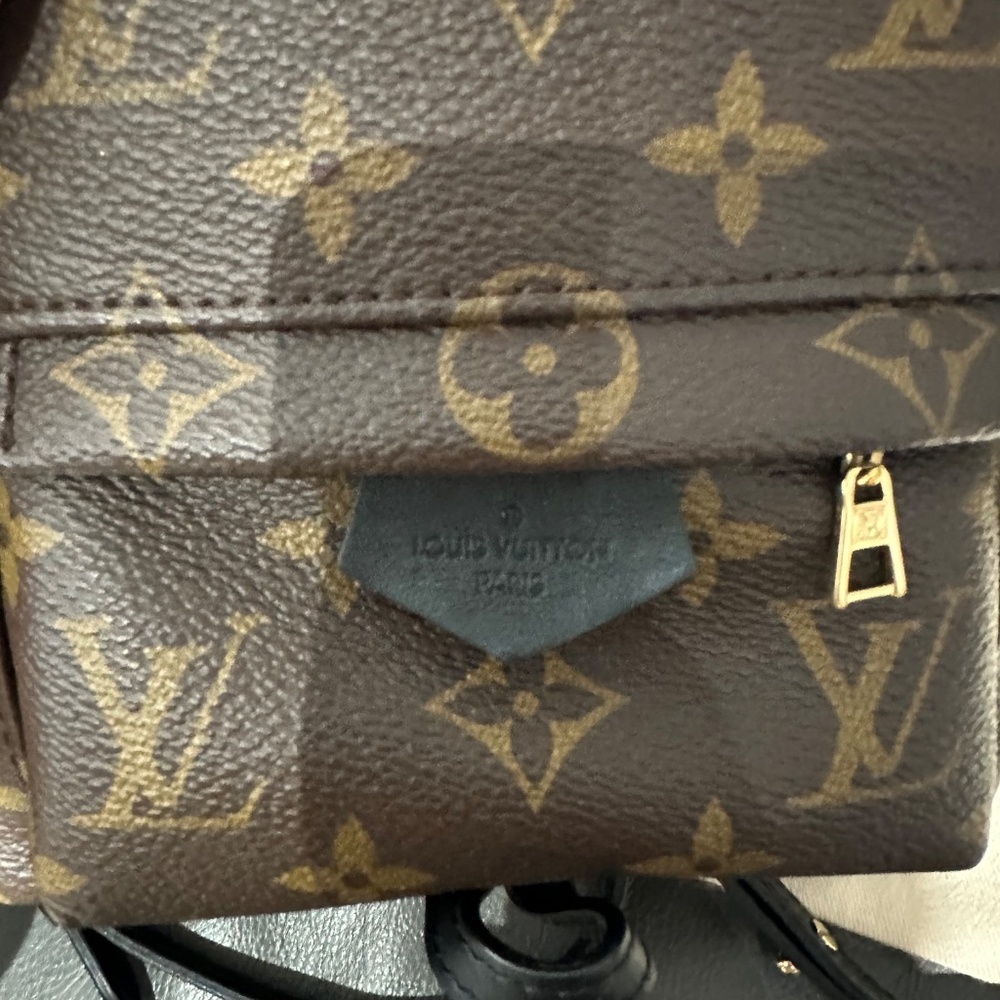 Louis Vuitton Palm Springs Mini - Picture 11 of 16